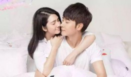 2015娱乐圈吃瓜盘点,年度大瓜盘点，揭秘明星幕后故事