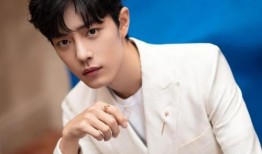 圈内爆料肖战后援,揭秘背后真相与影响